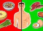 Menu Diet untuk Menambah Massa Otot yang Efektif