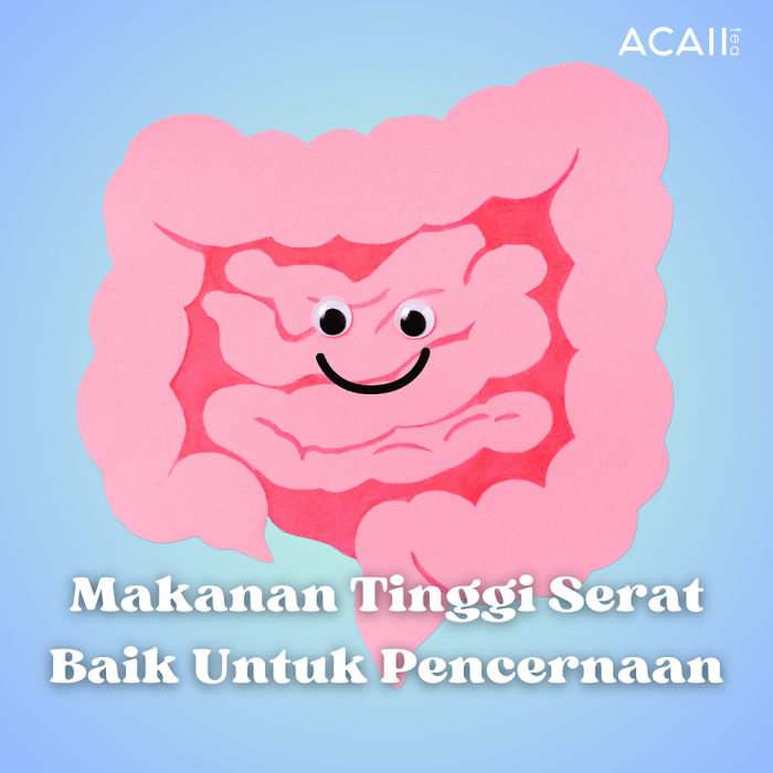 Peran Serat dalam Kesehatan Pencernaan