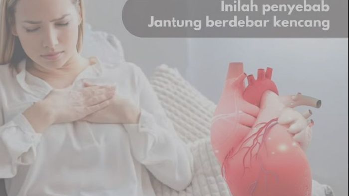 Mengenal Penyakit Jantung Korone, Gejala dan Pengobatannya - Portal ... Mengenal Gejala Penyakit Jantung Koroner