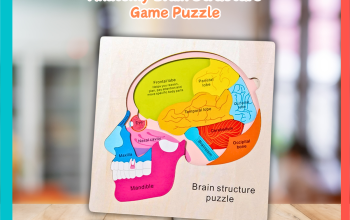 Puzzle dan Tes Logika Sebagai Terapi Otak Ringan