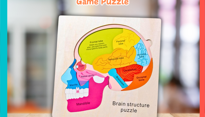Puzzle dan Tes Logika Sebagai Terapi Otak Ringan