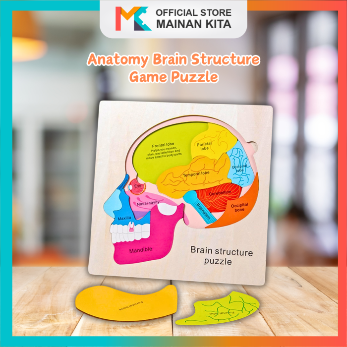 Puzzle dan Tes Logika Sebagai Terapi Otak Ringan