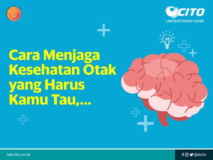 Otak kemampuan mengingat kamu meningkatkan berpikir rencanamu caranya Otak kemampuan mengingat kamu meningkatkan berpikir rencanamu caranya