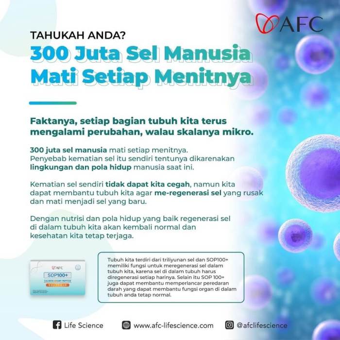 Tubuh Memproduksi Sel Baru Setiap Detik – Benarkah?