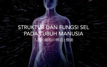 Tubuh Memproduksi Sel Baru Setiap Detik – Benarkah?