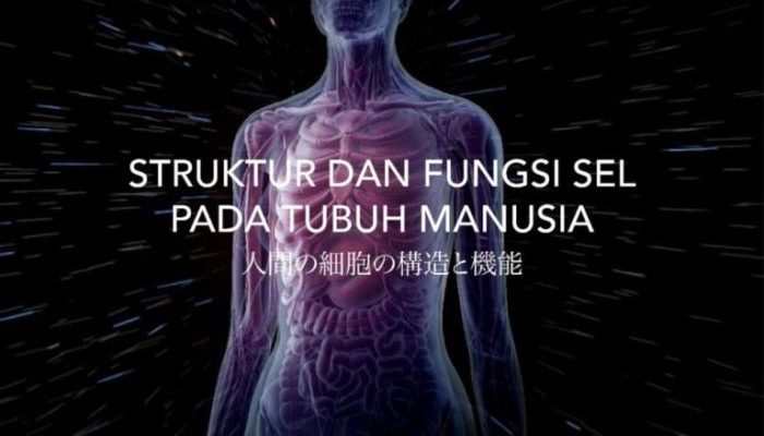 Tubuh Memproduksi Sel Baru Setiap Detik – Benarkah?