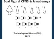 Tes IQ Logika yang Pernah Digunakan di Tes CPNS Terungkap