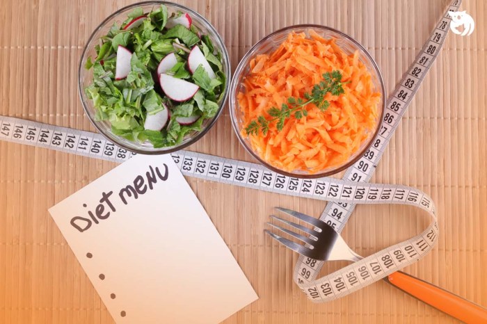 Sehat tanpa lapar Diet Sehat untuk Turunkan Berat Badan Tanpa Lapar