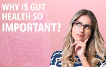 Apa Itu Gut Health dan Mengapa Penting?