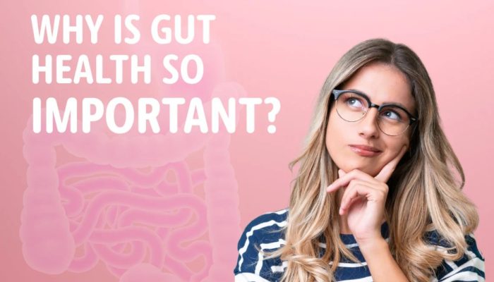 Apa Itu Gut Health dan Mengapa Penting untuk Kesehatan