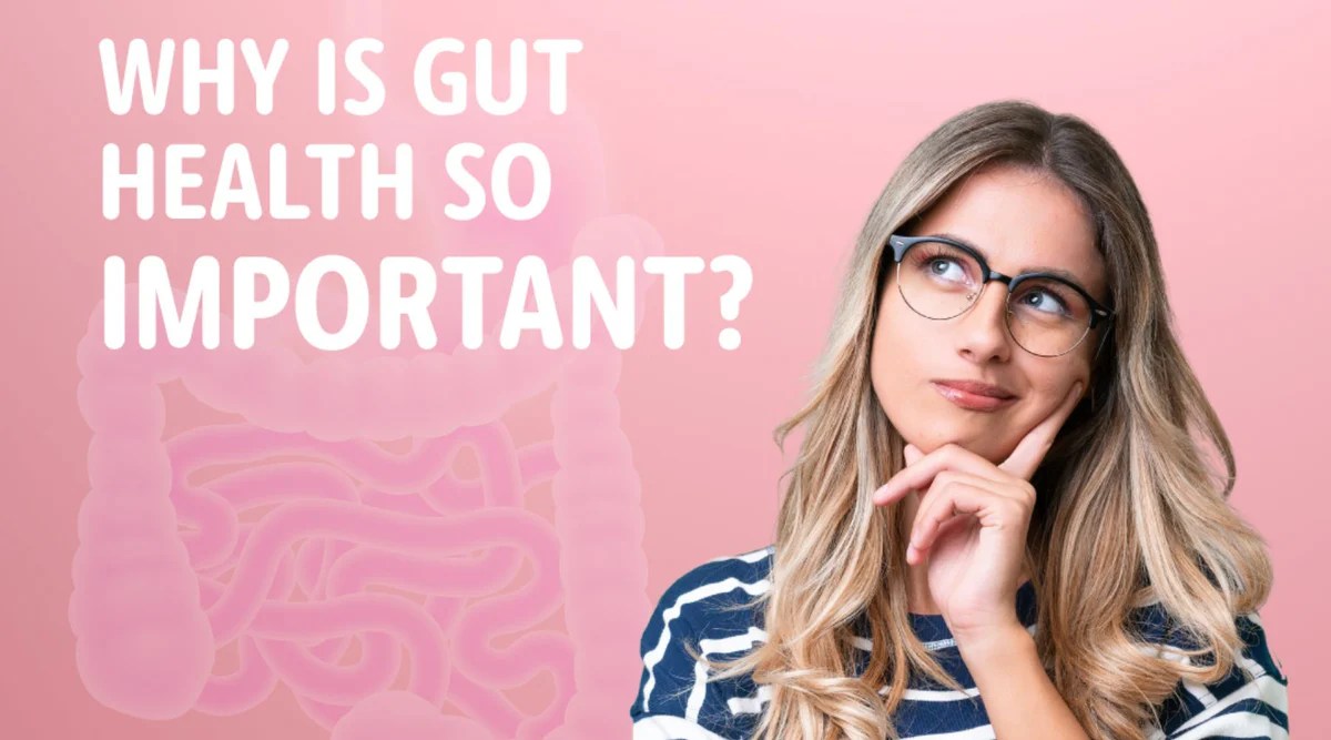 Why Gut Health Is Important Apa Itu Gut Health dan Mengapa Penting?