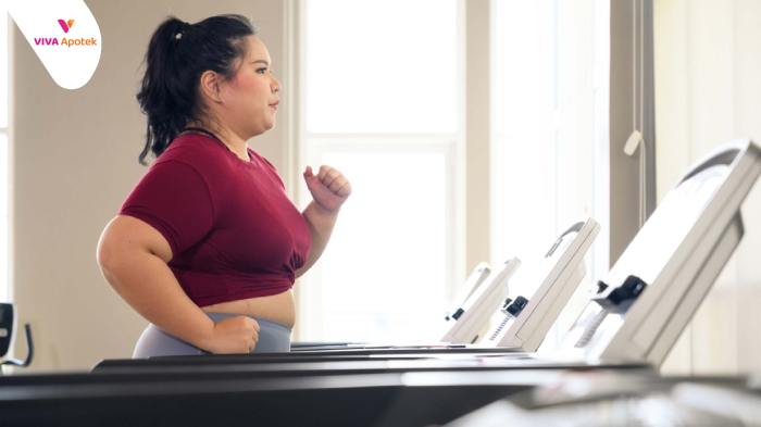 Menu Harian untuk Menjaga Berat Badan Ideal
