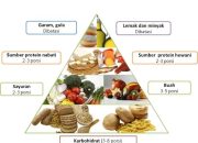 Tips Diet Sehat Tanpa Harus Makan Mahal