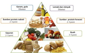 Tips Diet Sehat Tanpa Harus Makan Mahal