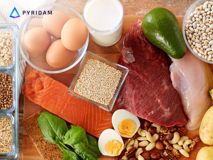 Diet Tinggi Protein, Apakah Aman untuk Jangka Panjang?