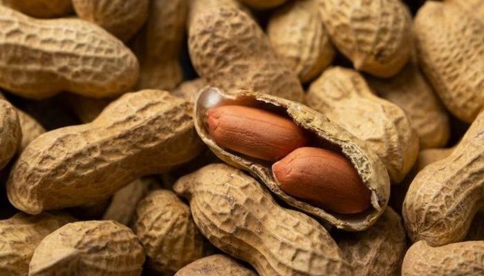 Camilan Sehat Kacang Kaya Manfaat untuk Tubuh