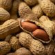 Camilan Sehat: Kacang Kaya Manfaat untuk Tubuh