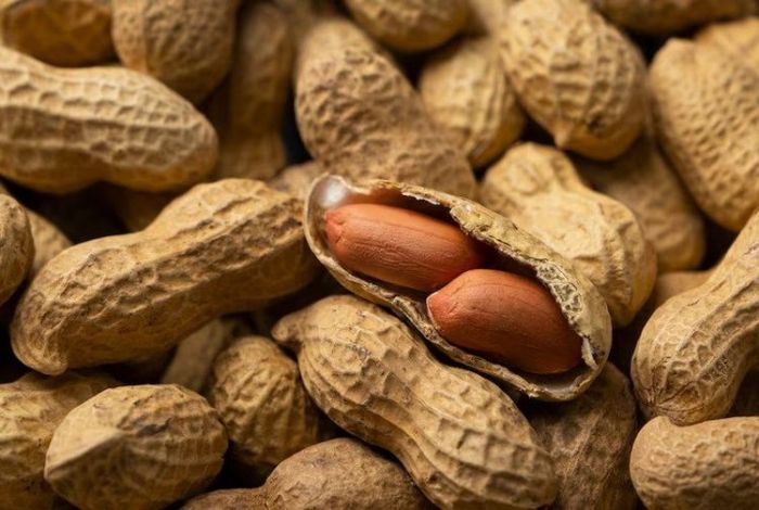 Camilan Sehat: Kacang Kaya Manfaat untuk Tubuh