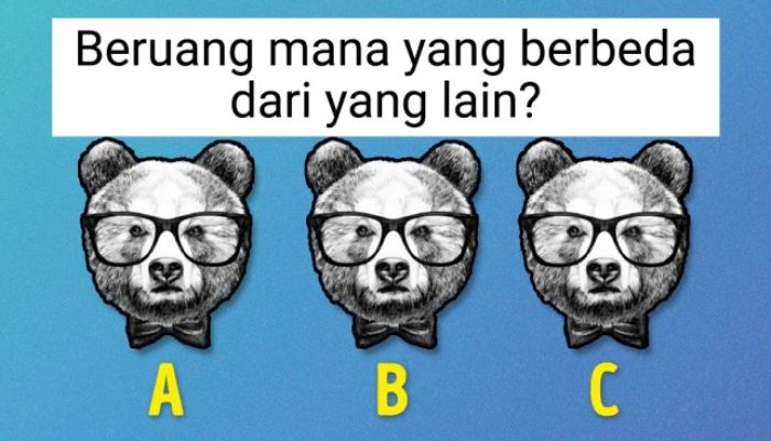 5 Tes Logika Terkini untuk Mengetahui Kecepatan Berpikir