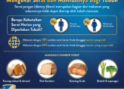 Manfaat Konsumsi Serat Setiap Hari untuk Kesehatan Optimal