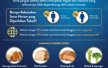 Manfaat Konsumsi Serat Setiap Hari