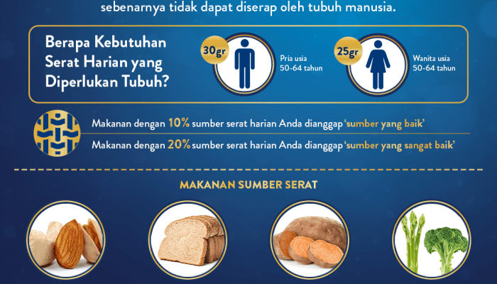 Manfaat Konsumsi Serat Setiap Hari untuk Kesehatan Optimal