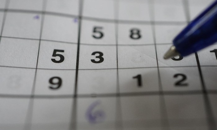 Permainan Sudoku untuk Latihan Otak