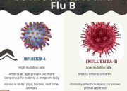 Perbedaan TBC dan Flu Biasa