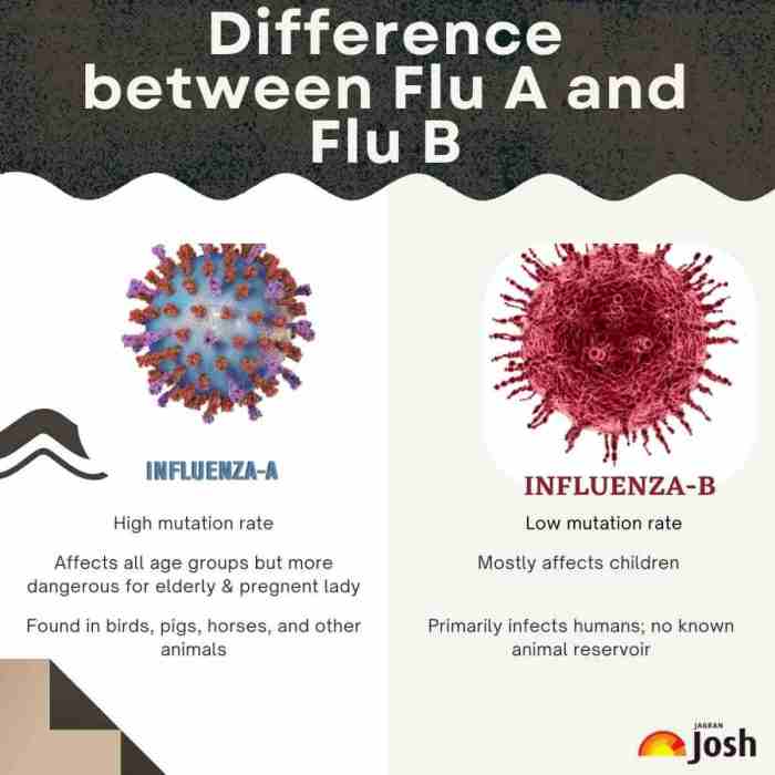 TBC: Gejala, Penyebab dan Pengobatannya | RSUD dr.Iskak Tulungagung Perbedaan TBC dan Flu Biasa