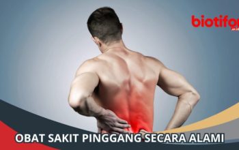 Posisi yang Disarankan untuk Menghindari Nyeri Pinggang