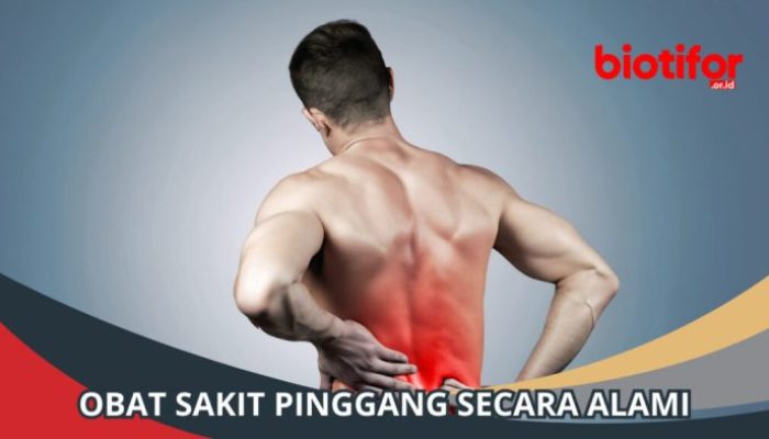 Posisi yang Disarankan untuk Menghindari Nyeri Pinggang
