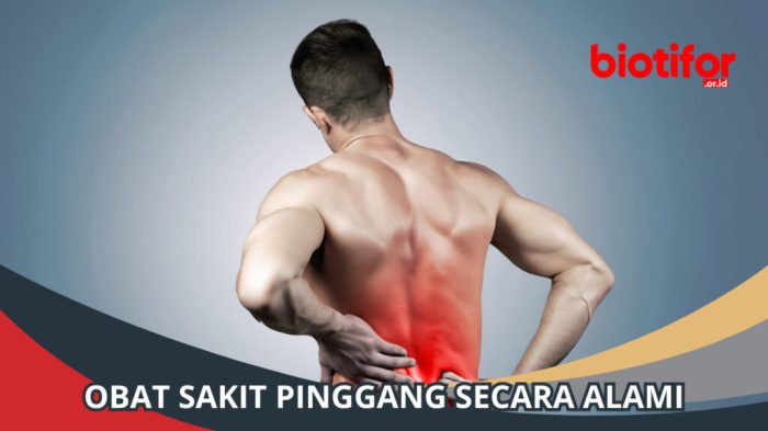 Obat Sakit Pinggang: Mengatasi Rasa Tak Enak di Area Pinggang - Biotifor Posisi yang Disarankan untuk Menghindari Nyeri Pinggang