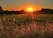 7 Manfaat Sinar Pagi untuk Kesehatan Tubuh dan Pikiran yang Jarang Diketahui