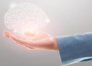 Otak Menyusut di Usia 30, Risiko Alzheimer Mengintai