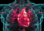 Keluarga Mengajukan Protes RS Bali Menanggapi Kritik