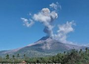 Gunung Lewotobi Laki Laki Erupsi Lagi Kolom Abu Tinggi 2000 Meter Disertai Suara Gemuruh