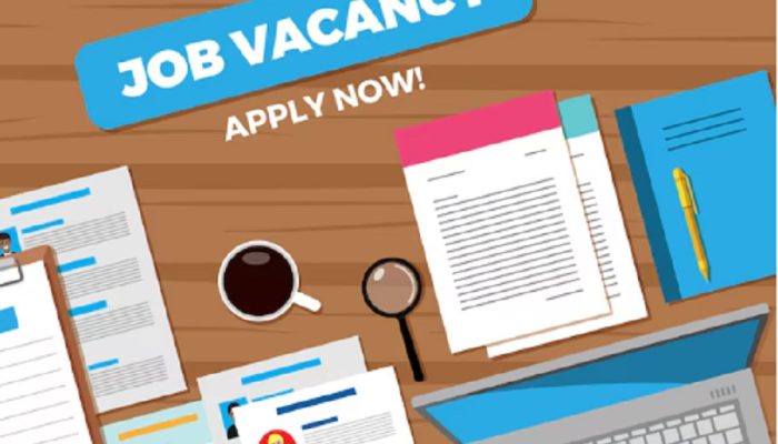 Lowongan Kerja BP Tapera 2025 Dibuka Hingga 30 September 2025 dan Cara Daftarnya