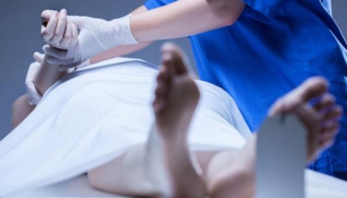 Reaksi Istana terhadap meninggalnya calon praja IPDN saat diklat dasar