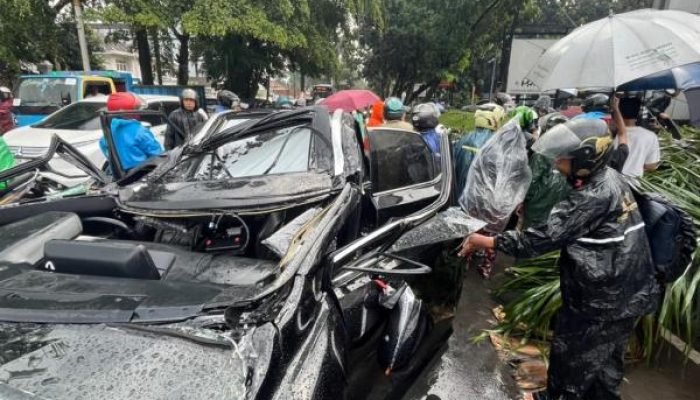Mobil Ringsek Tertimpa Pohon di Pondok Indah Akibatkan Satu Orang Tewas