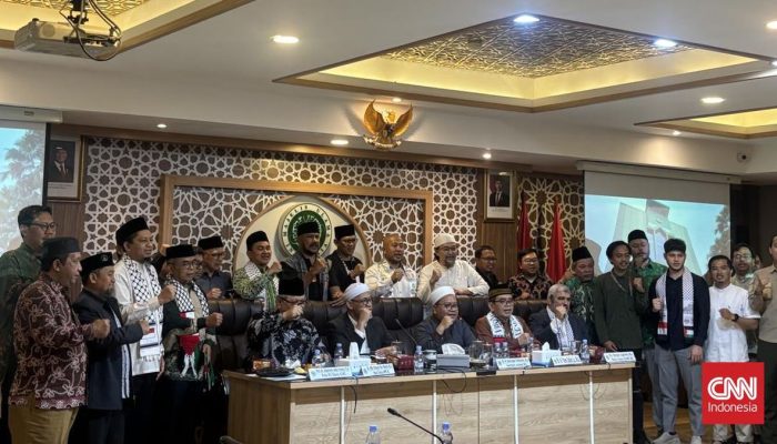 MUI Minta Pemerintah Berkomunikasi dengan Kelompok Perlawanan Palestina