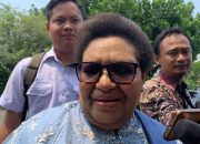 Latar Belakang Pendidikan Ribka Haluk Ketua Komite Eksekutif Percepatan Pembangunan Otonomi Khusus Papua