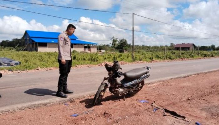 Kecelakaan Truk Molen dan Motor di Merauke, 3 Orang Dikirim ke Puskesmas