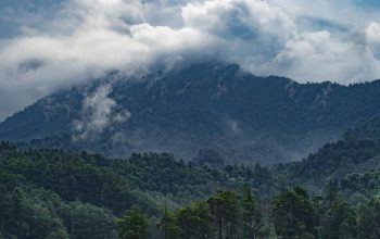 Bantahan TNGGP Terhadap Pembukaan Pendakian Gunung Gede Pangrango 5 November