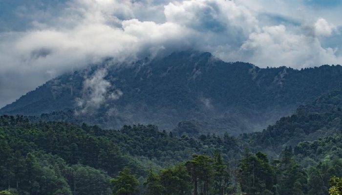 Bantahan TNGGP Terhadap Pembukaan Pendakian Gunung Gede Pangrango 5 November