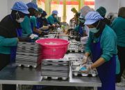 Badan Gizi Nasional Dorong SPPG untuk Edukasi Gizi Penerima MBG