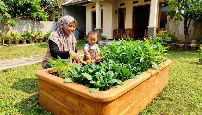 10 Desain Kebun Sayur Rumah Ramah Anak Aman Disentuh Seru untuk Belajar Berkebun