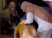 Viral, 2 Muslimah Berhijab Selamatkan Singa di Thailand dari Banjir