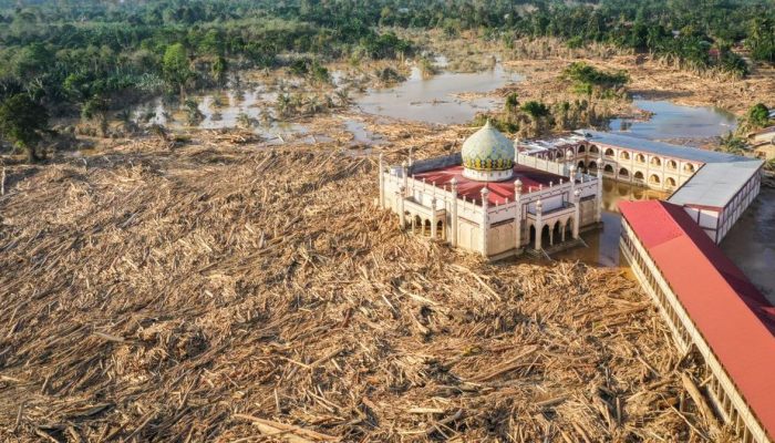 Kayu Gelondongan Menghantui Rumah Warga Setelah Banjir di Aceh Utara