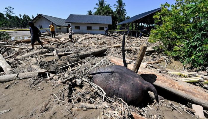 Kerusakan Lingkungan Memperburuk Banjir di Sumatra
