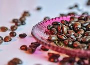 Sejarah Kopi Robusta sebagai Pilar Utama dalam Industri Kuliner Global